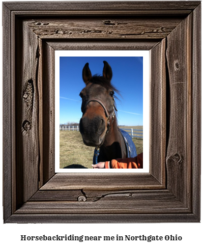 horseback riding near me in Northgate, Ohio